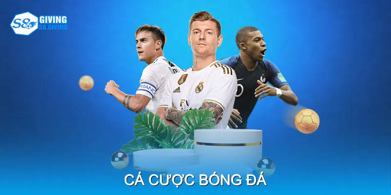 Cá Cược Bóng Đá Mang Đến Cơ Hội Thắng Hấp Dẫn Mỗi Ngày