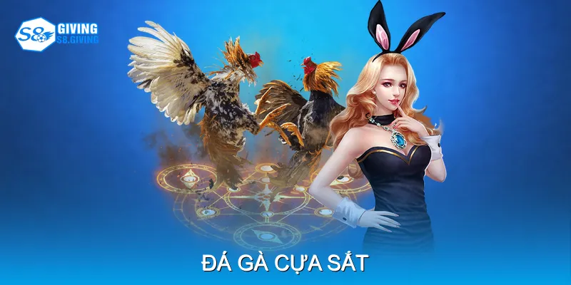 Đá Gà Cựa Sắt Mang Lại Trận Đấu Kịch Tính Và Hấp Dẫn