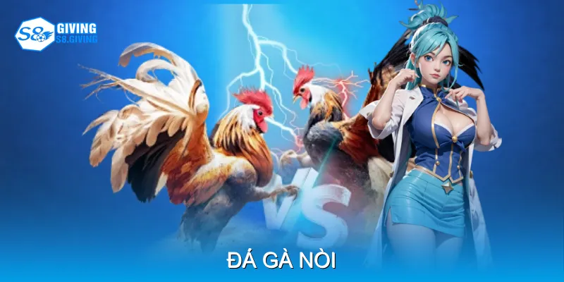 Đá Gà Nòi Cách Nhận Biết Gà Khỏe Và Đòn Ra Chính Xác