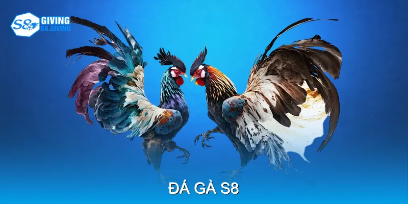 Đá Gà S8 - Trải Nghiệm Cược Kê Trực Tuyến Kịch Tính