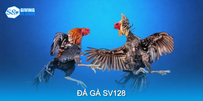 Đá Gà SV128 Cho Trải Nghiệm Kịch Tính Mọi Lúc Mọi Nơ
