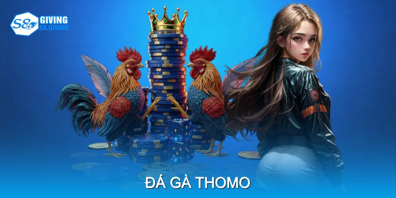 Đá Gà Thomo S8 - Những Điều Cần Biết Trước Khi Tham Gia