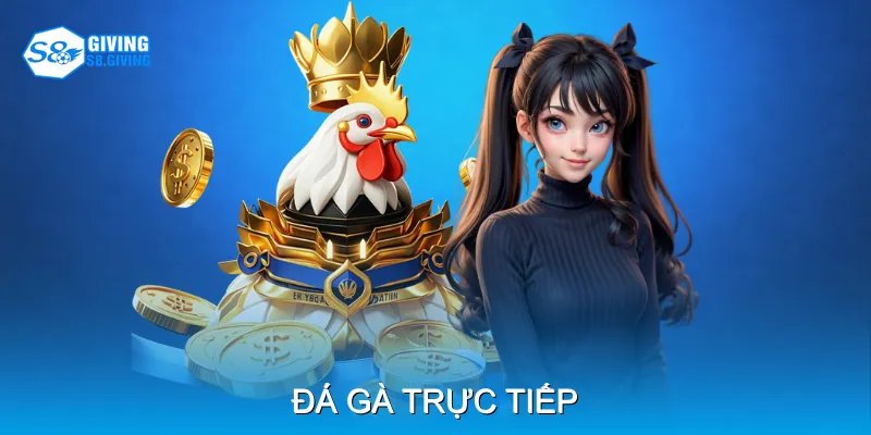 Đá Gà Trực Tiếp S8 - Cập Nhật Trận Đấu Nhanh Chóng, Minh Bạch
