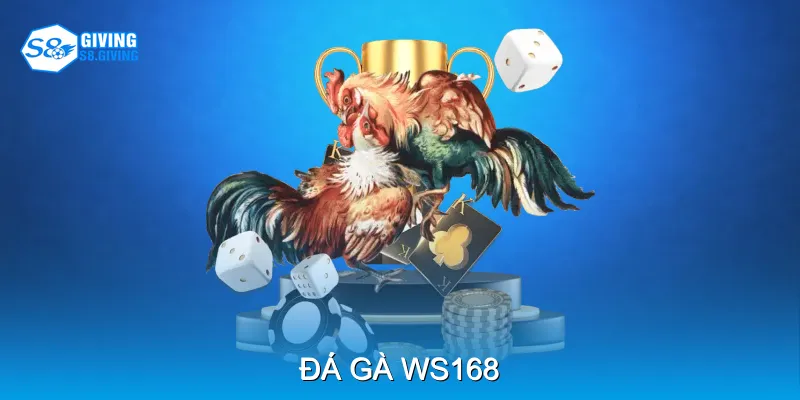 Đá Gà WS168 Cạnh Tranh Hồi Hộp Với Chiến Kê Tinh Anh