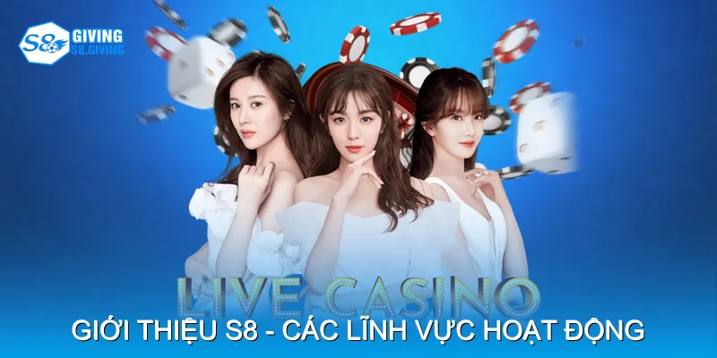 Giới thiệu S8 - Các lĩnh vực hoạt động Giới thiệu S8 - Các lĩnh vực hoạt động