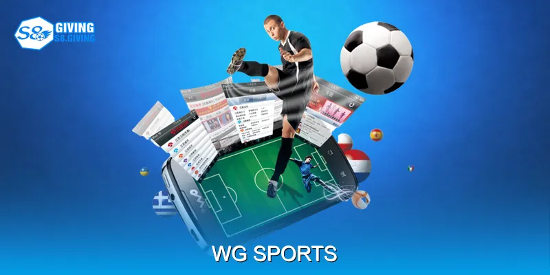 WG Sports Kết Hợp Thể Thao Truyền Thống Và eSports Hiện Đại